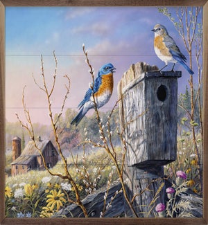Old Homestead Bluebirds By Terry Doughty